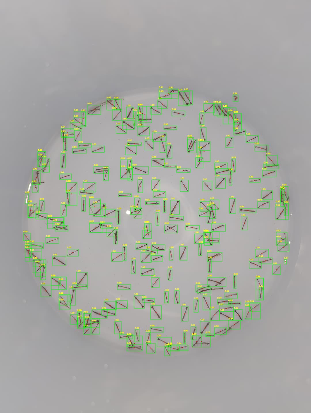 Shrimp Counting & Tracking App